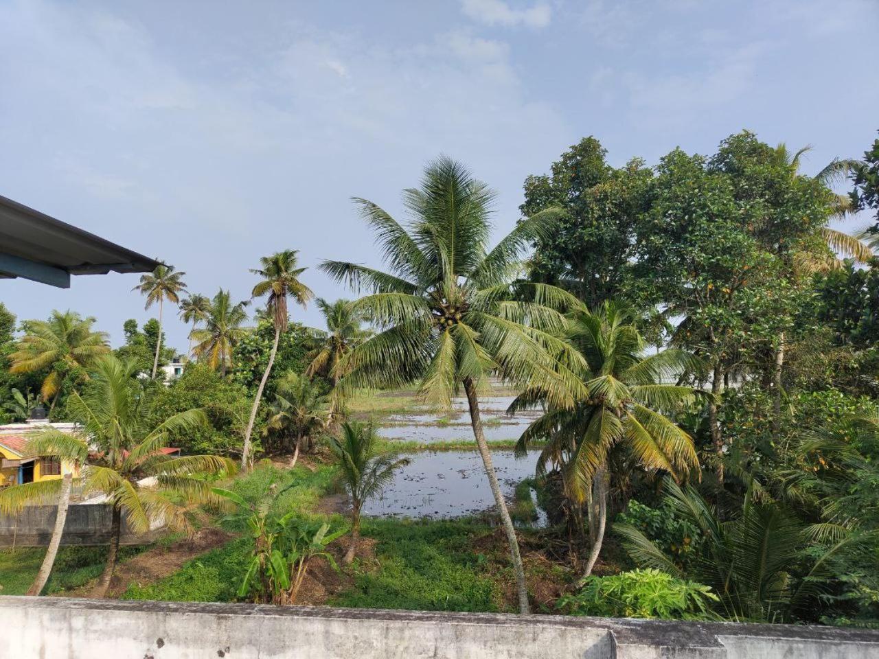 Paddy N Canal Homestay Alappuzha Zewnętrze zdjęcie