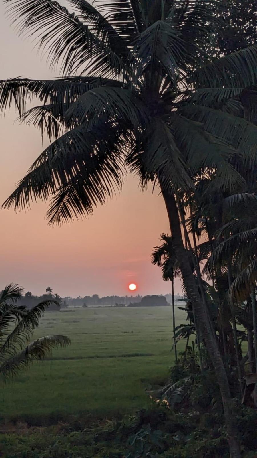 Paddy N Canal Homestay Alappuzha Zewnętrze zdjęcie